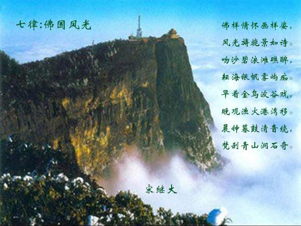 春雨直播app